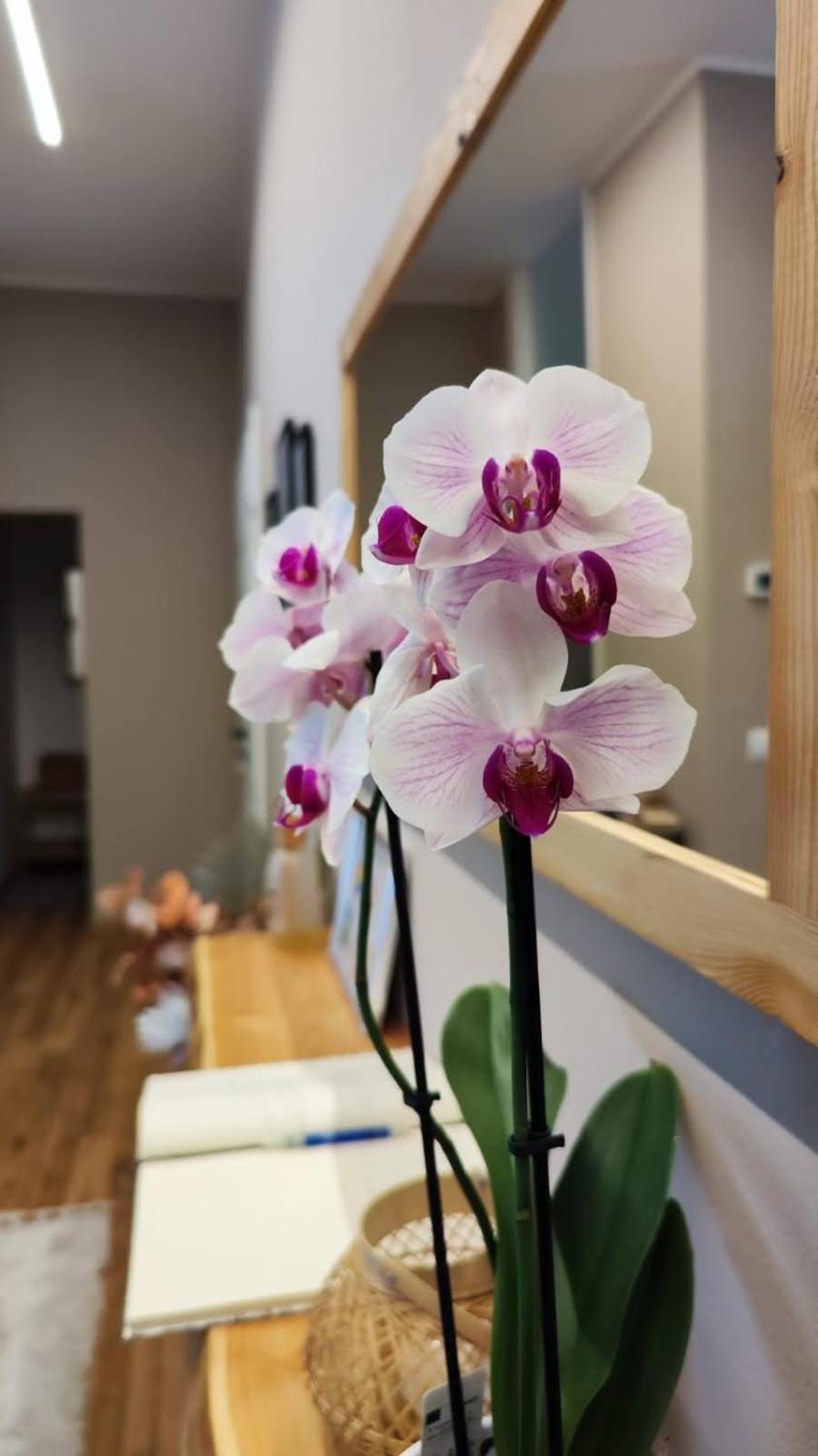B&B Arcobaleno Tirano Dış mekan fotoğraf